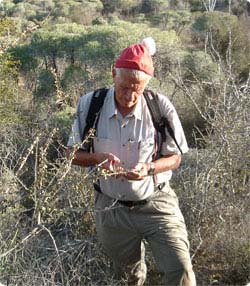 Dr. Gary A. Strobel