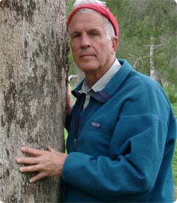Dr. Gary A. Strobel