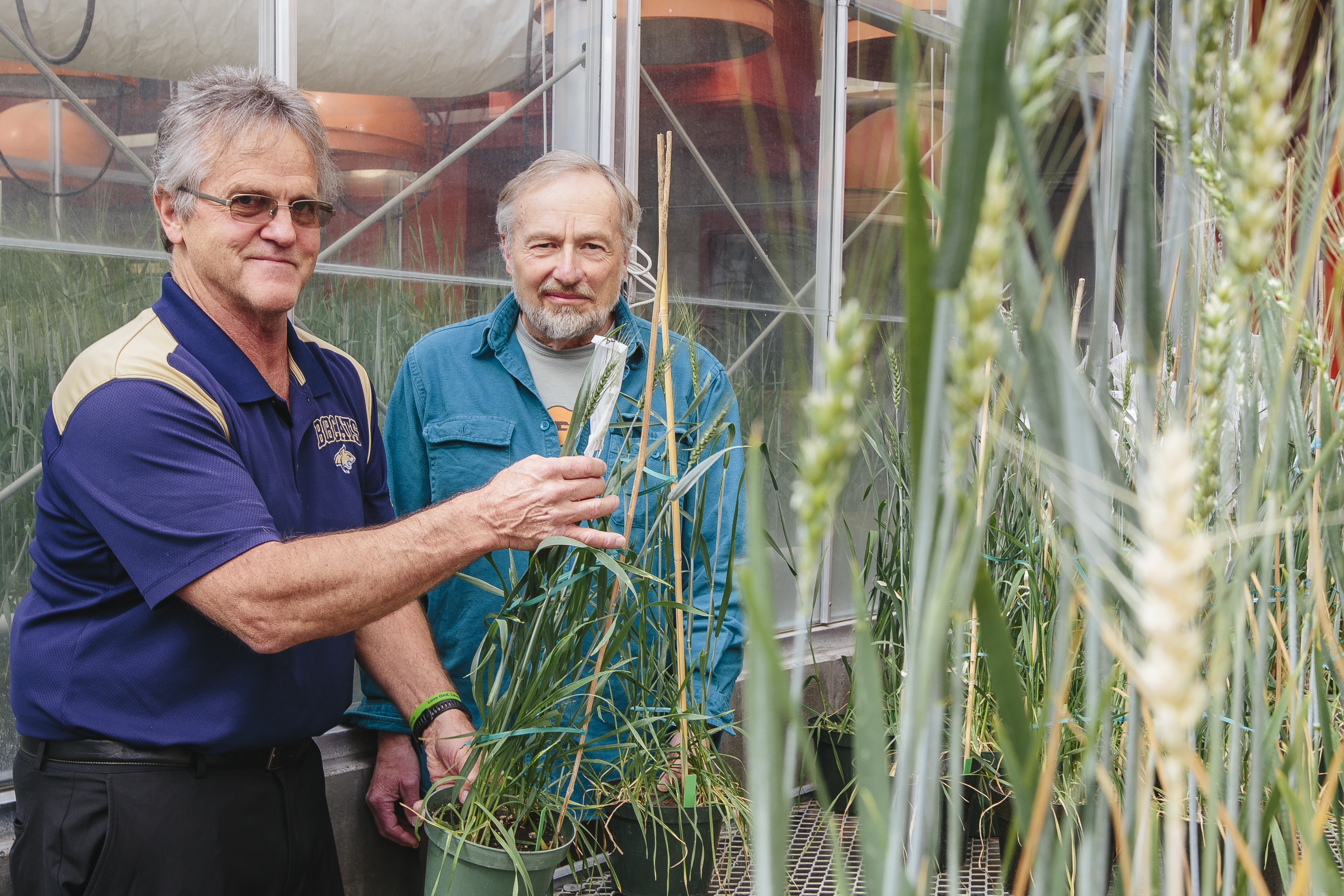 two faculty in greenhouse lab 