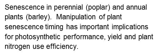 biotech fischer caption