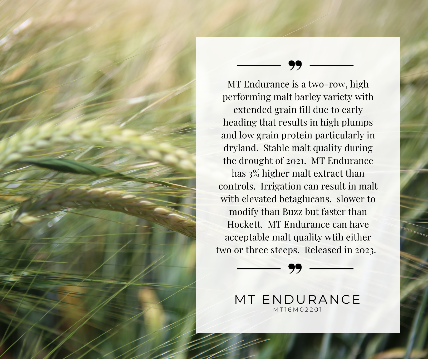 MT Endurance Variety card