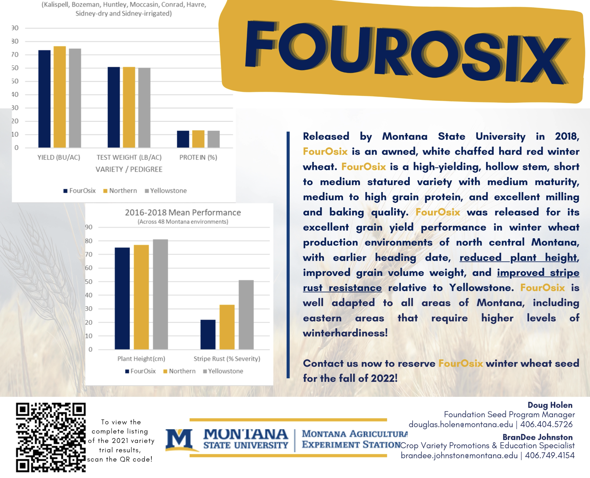 FourOsix Variety postcard