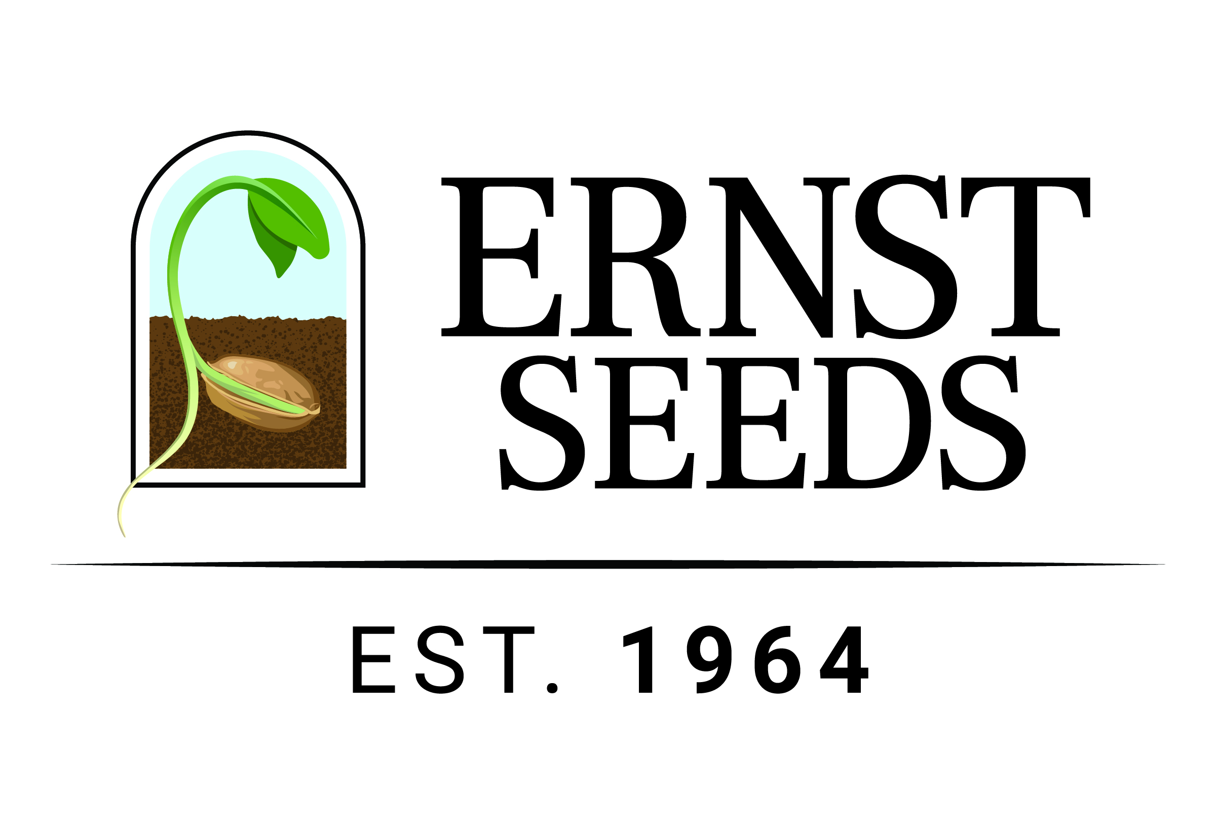 Ernst update