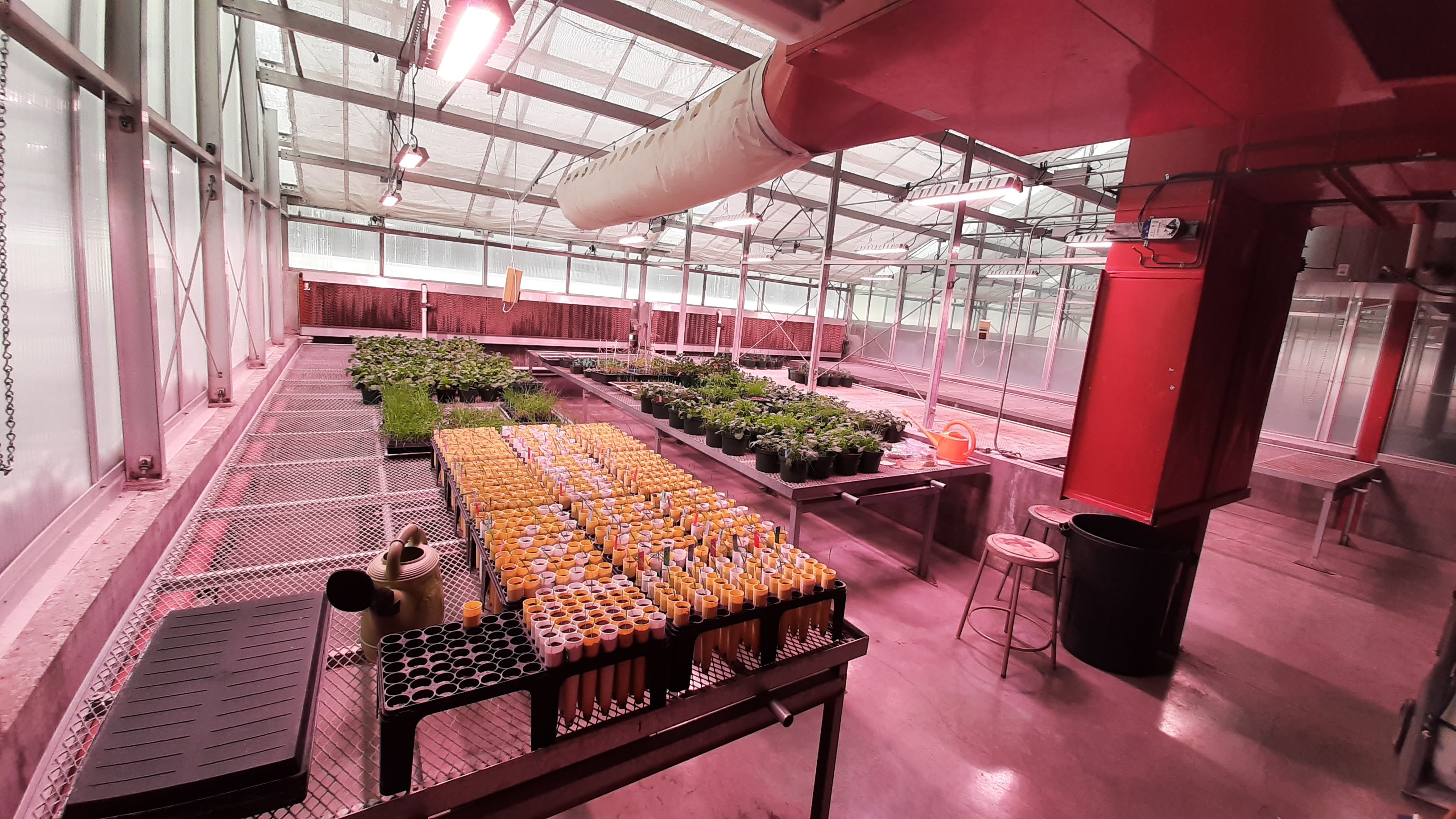 PGC greenhouse