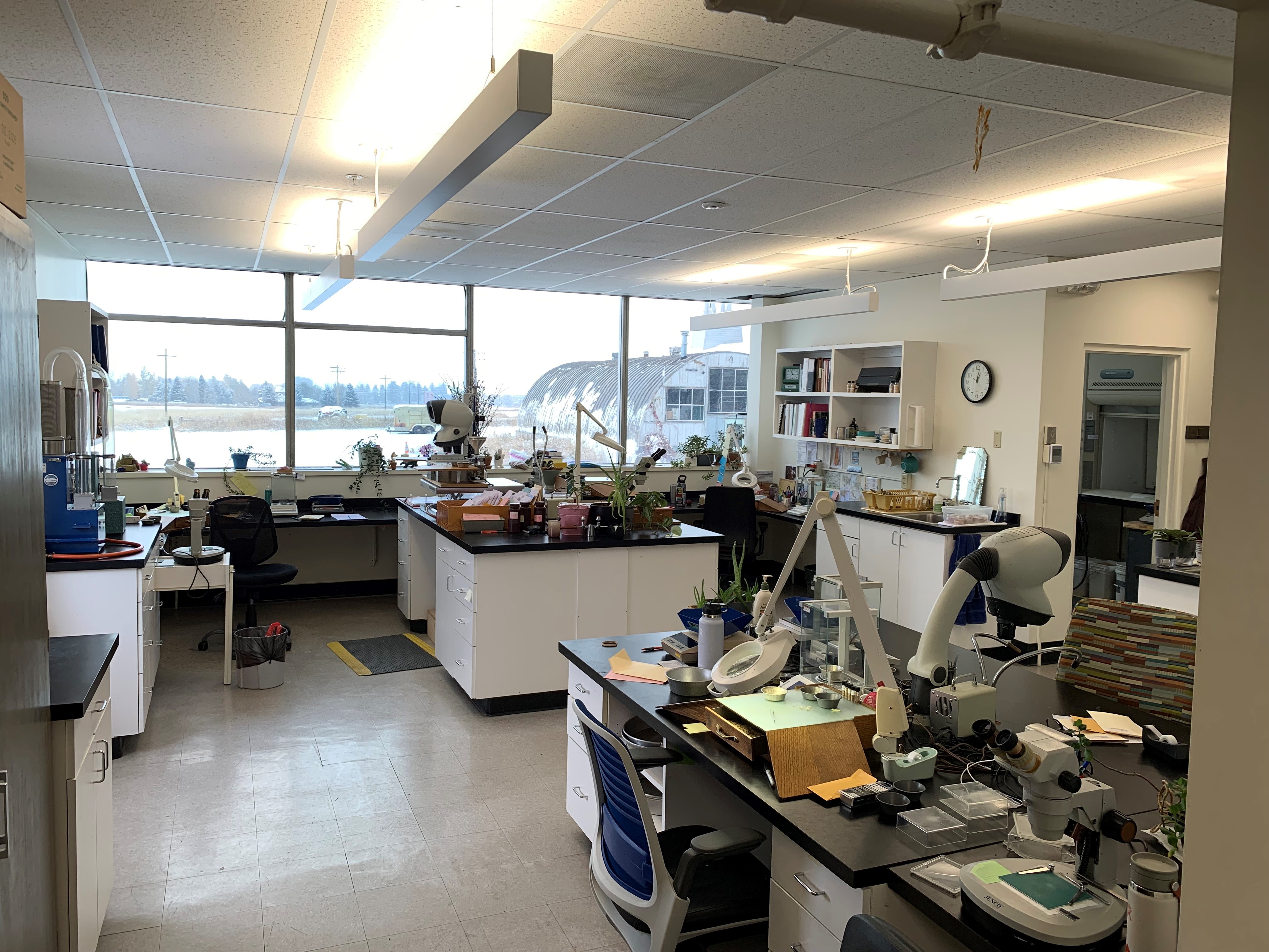 seed lab