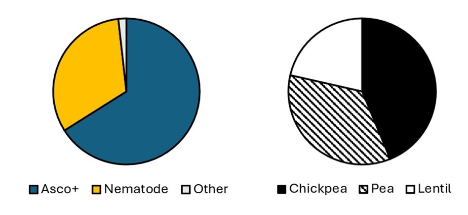 Number of tests conducted in the RPCDL